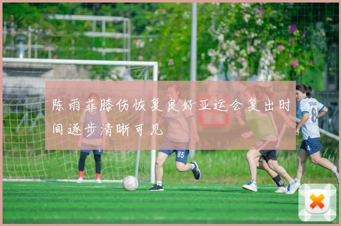 陈雨菲膝伤恢复良好亚运会复出时间逐步清晰可见