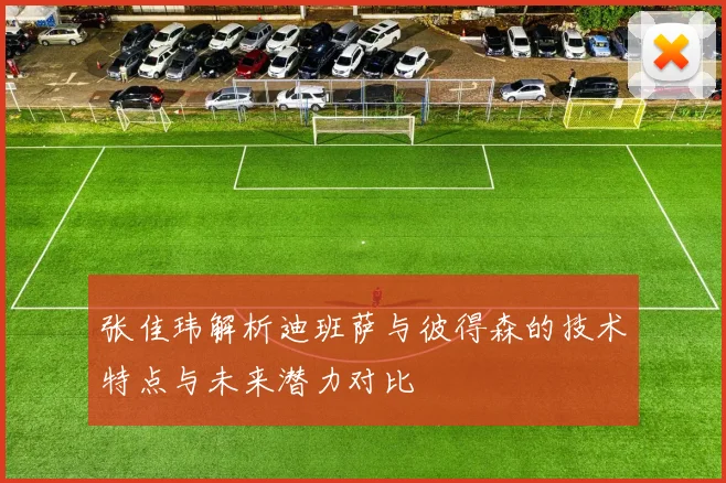 张佳玮解析迪班萨与彼得森的技术特点与未来潜力对比